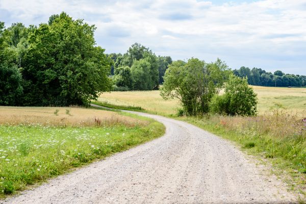 Stone Driveway Repair in Montgomery