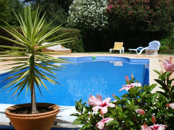 Pool Terrace Renovation in Montgomery