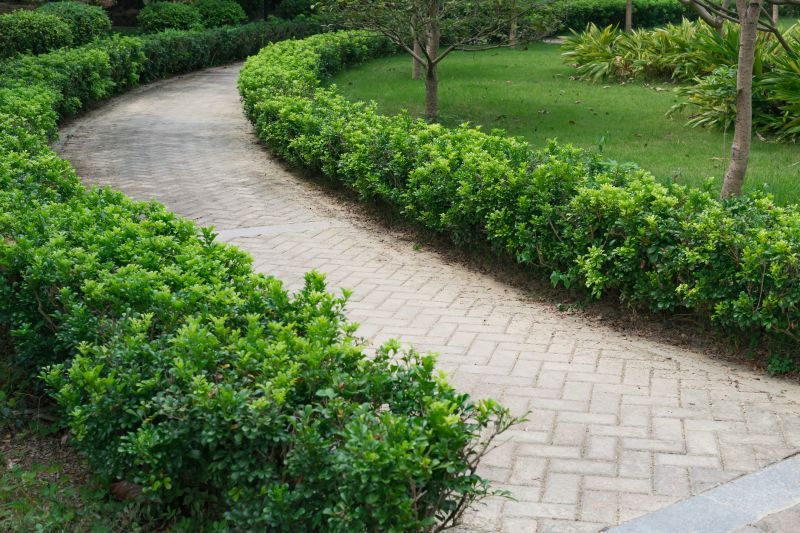Stylish Paver Pathway